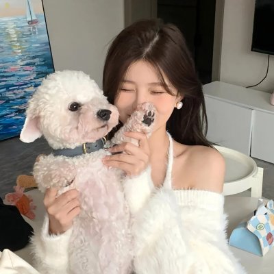 鸟之歌 バードソング